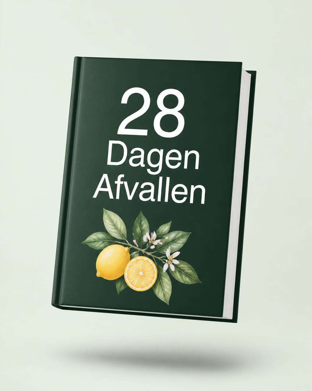 Cover van het e-book 28 Dagen Afvallen